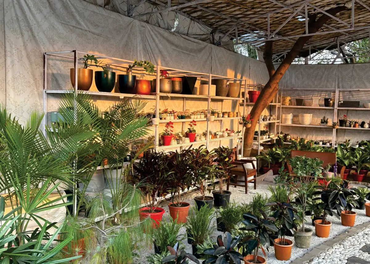 Bring Nature Home with FRP Flower Pots – A Complete Guide