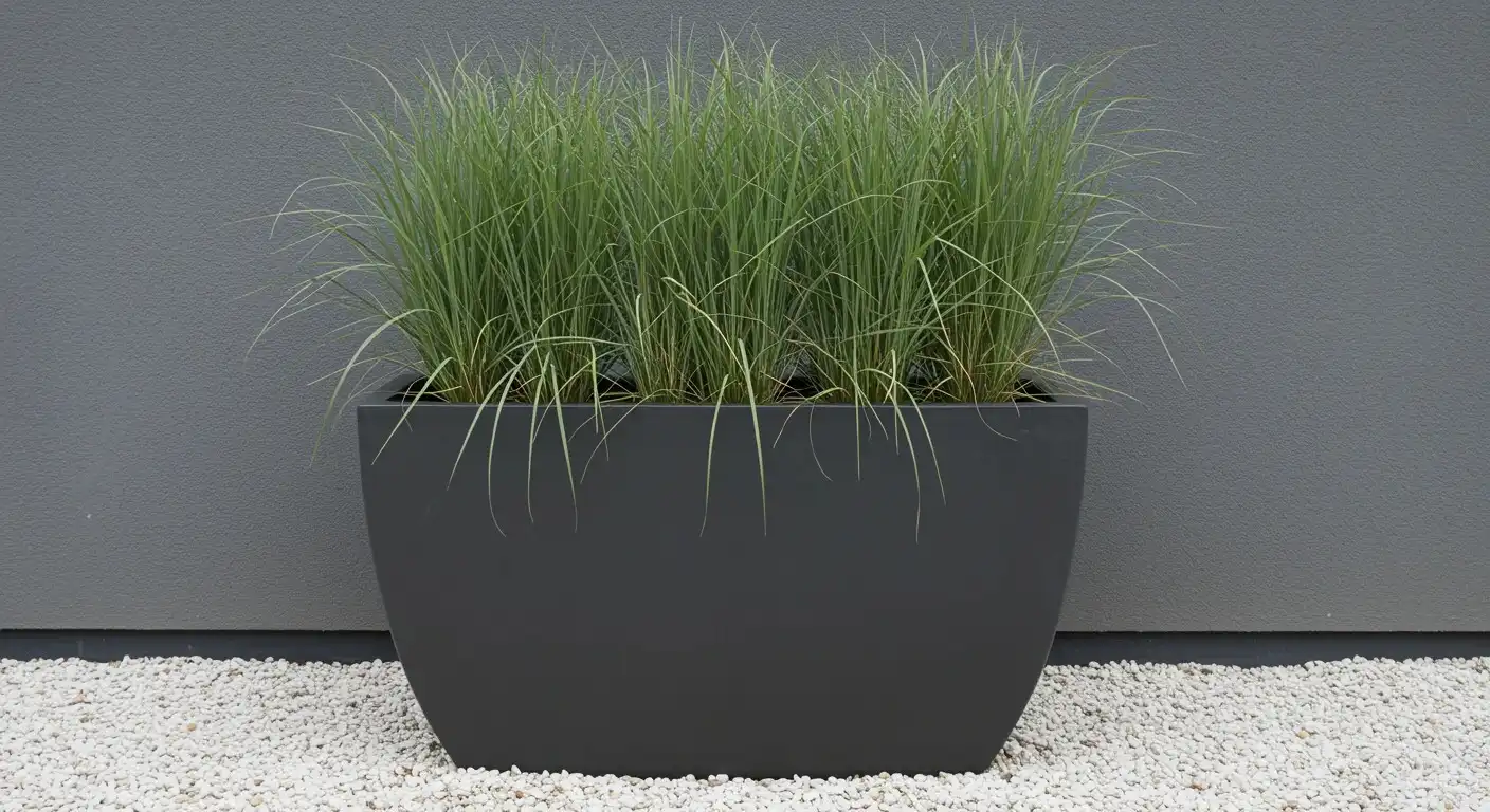 The Budget-Friendly Guide to Making Huge Planters Look High-End