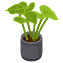 Premium FRP Planters Manufacturers in Delhi NCR
