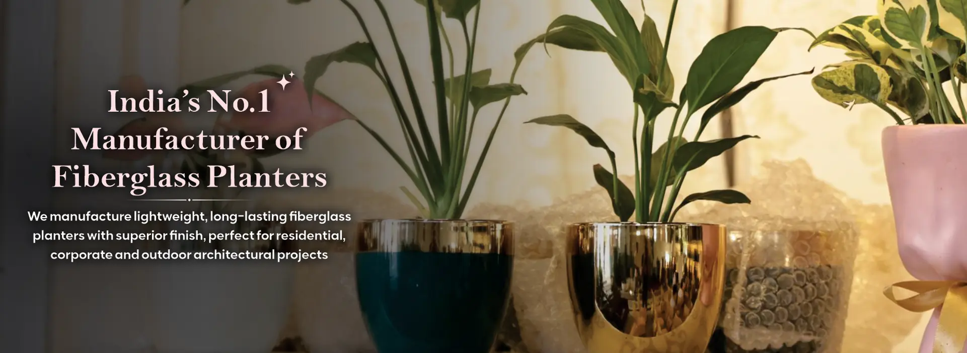 India’s No.1 Manufacturer of Fiberglass Planters India’s No.1 Manufacturer of Fiberglass Planters