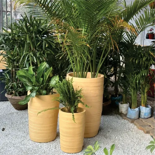 Matt Finish Planter Manufacturers in Delhi NCR