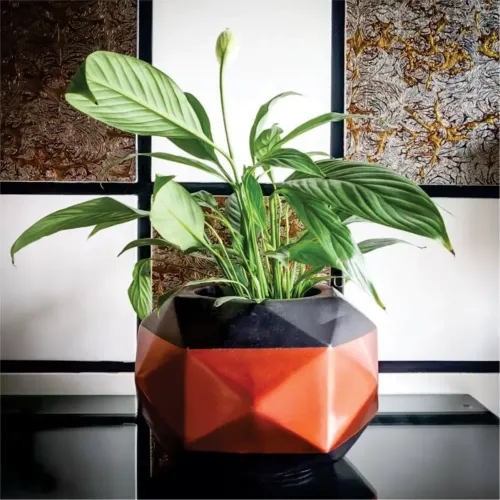 Custom Colour Planters Manufacturers in Delhi NCR