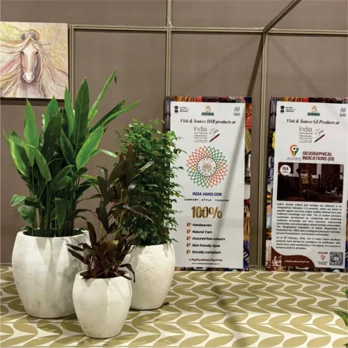 Fiberglass Round Planters Manufacturers in Delhi NCR