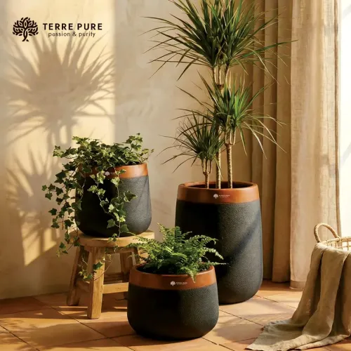 FRP Plastic Planters Manufacturers in Delhi NCR