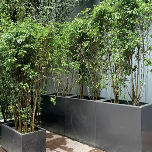 Frp Rectangular Planter Manufacturers in Delhi NCR