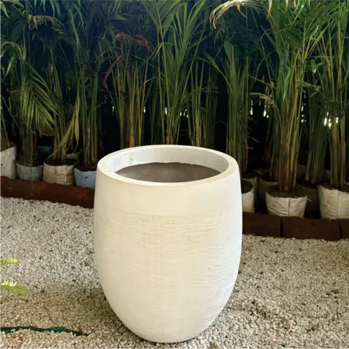 Gamla Manufacturers in Delhi NCR