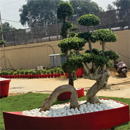 Large Planter Manufacturers in Delhi NCR