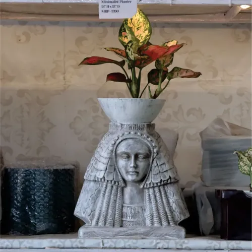 Premium FRP Planters Manufacturers in Delhi NCR