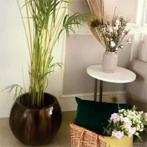 Round Fiberglass Planter Manufacturers in Delhi NCR