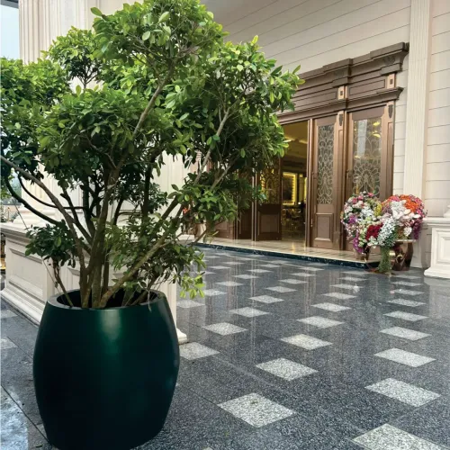 Round Fiberglass Planter Manufacturers in Delhi NCR