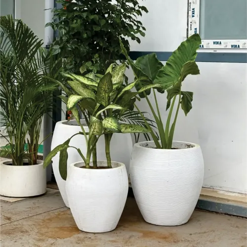 Round Matte Finish Planter Manufacturers in Delhi NCR