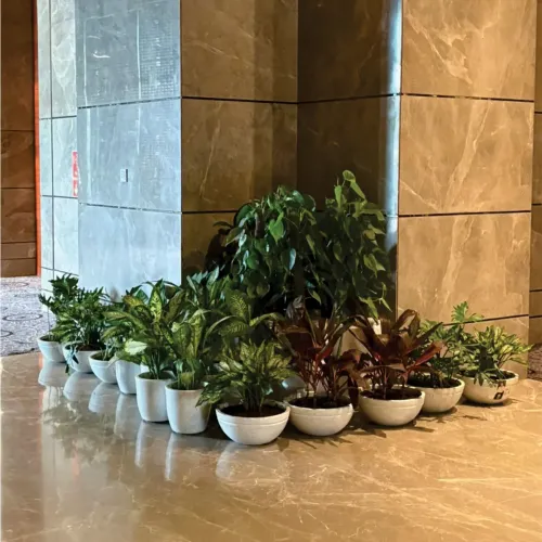 Small FRP Planter Manufacturers in Delhi NCR