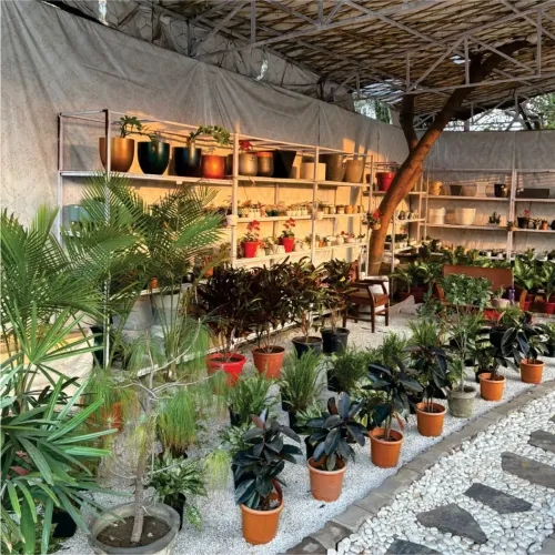 Small FRP Planter Manufacturers in Delhi NCR