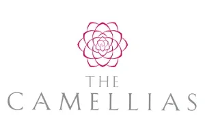 CAMELLIAS