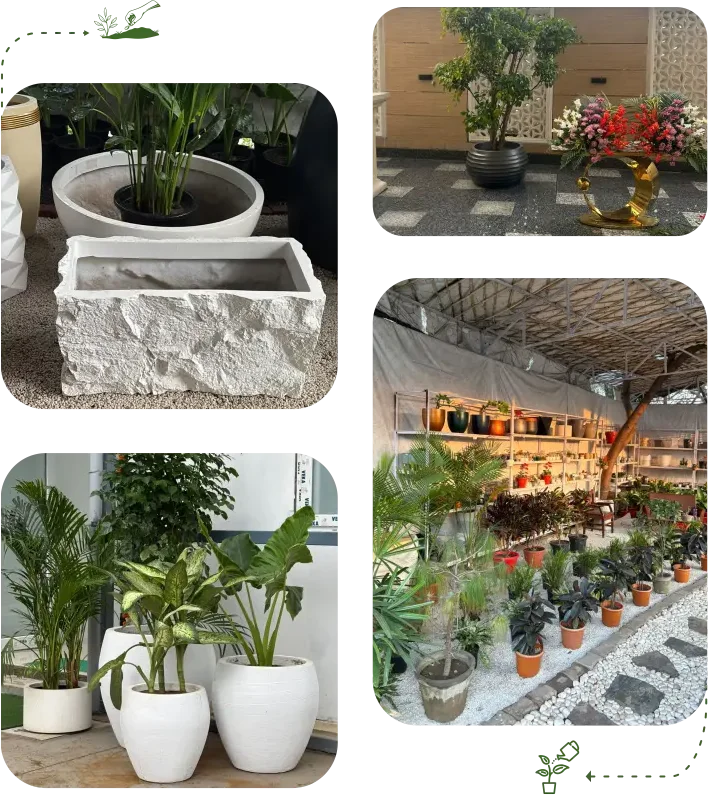 Fiberglass Planter Manufacturer in Delhi NCR